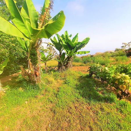 לה אורוטבה Casa En Finca Ecologica - Wifi מראה חיצוני תמונה