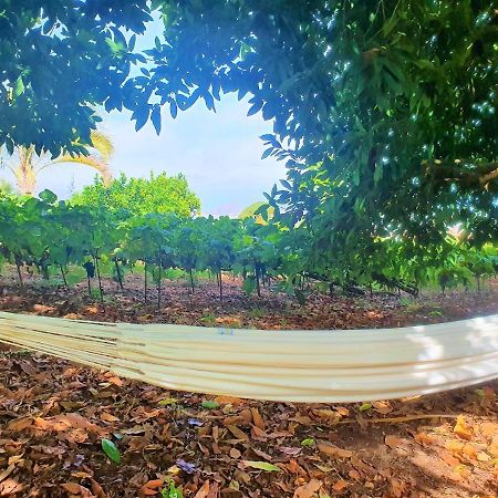 לה אורוטבה Casa En Finca Ecologica - Wifi מראה חיצוני תמונה