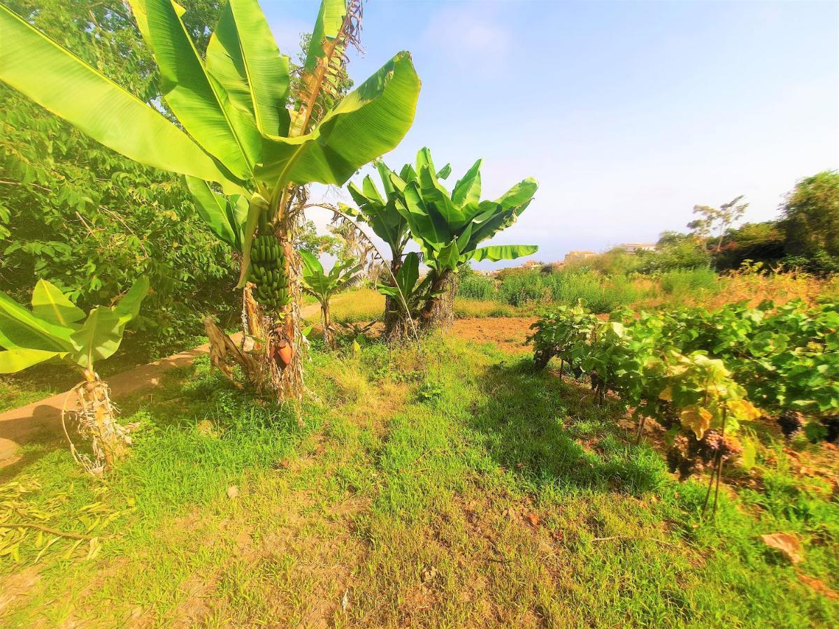 לה אורוטבה Casa En Finca Ecologica - Wifi מראה חיצוני תמונה