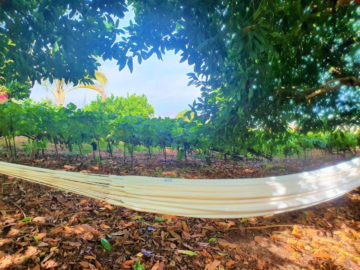 לה אורוטבה Casa En Finca Ecologica - Wifi מראה חיצוני תמונה