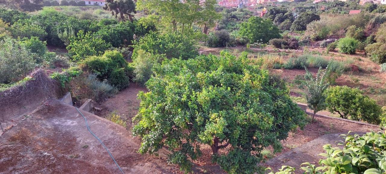 לה אורוטבה Casa En Finca Ecologica - Wifi מראה חיצוני תמונה