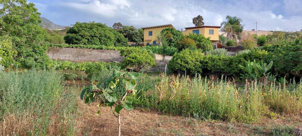 לה אורוטבה Casa En Finca Ecologica - Wifi מראה חיצוני תמונה
