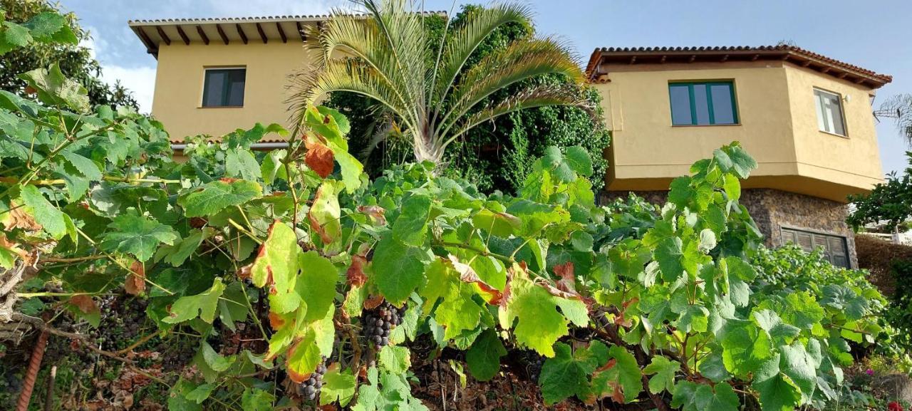 לה אורוטבה Casa En Finca Ecologica - Wifi מראה חיצוני תמונה